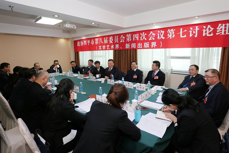 市政协政协杨枫、秘书长刘伟忠参加分组讨论