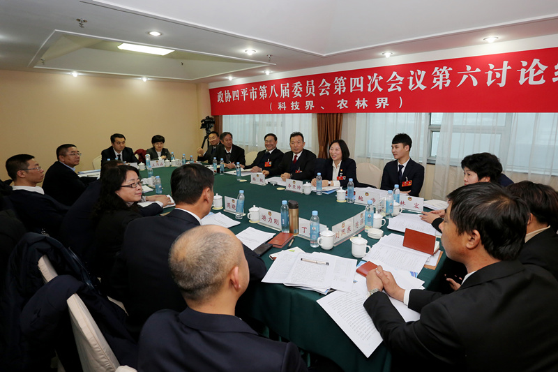 市政协政协杨枫、秘书长刘伟忠参加分组讨论