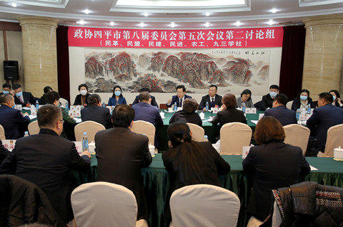 胡斌参加市政协八届五次会议分组讨论